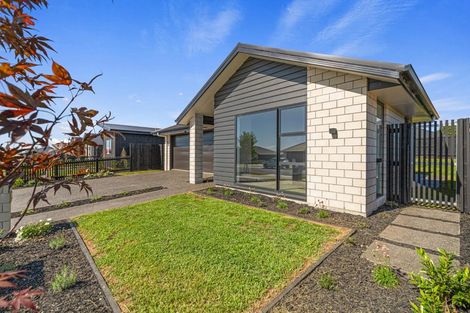 Photo of property in 24 Rawiri Street, Morrinsville, 3300