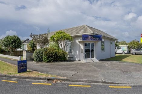 Photo of property in 41 York Street, Levin, 5510