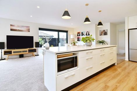 Photo of property in 11 Makawe Roa Street, Marshland, Christchurch, 8083