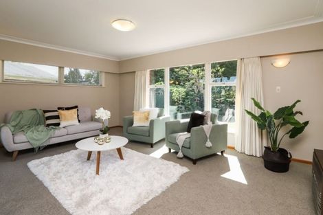 Photo of property in 53 Berkley Avenue, Hillcrest, Hamilton, 3216