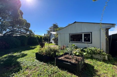 Photo of property in 149 Limbrick Street, Terrace End, Palmerston North, 4410