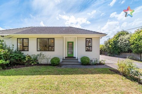 Photo of property in 225 Riverside Drive, Waterloo, Lower Hutt, 5011