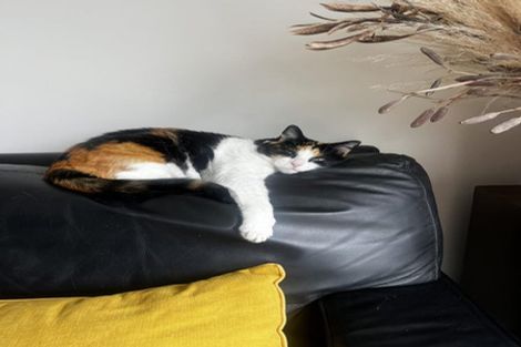 Photo of property in 13 Brickworks Bay Road, Hobsonville, Auckland, 0618