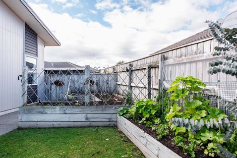 Photo of property in 52 Waterways Drive, Ohope, 3121