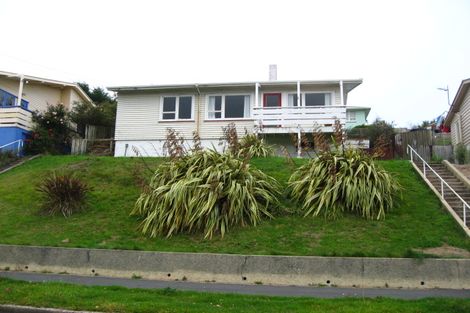 Photo of property in 123 Mulford Street, Concord, Dunedin, 9018