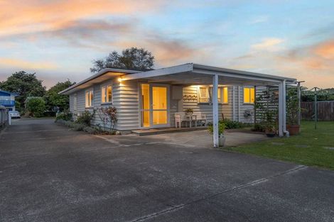 Photo of property in 74 Kennedy Drive, Levin, 5510