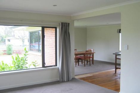 Photo of property in 633 Orari Station Road, Geraldine, 7930