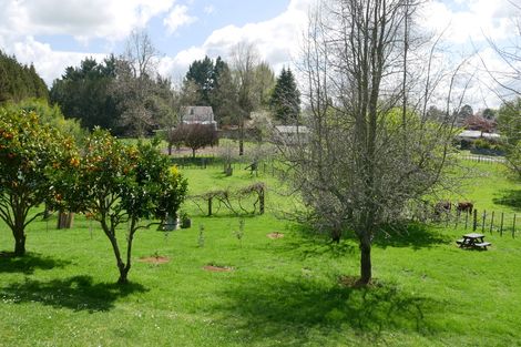 Photo of property in 45 Golf Street, Putaruru, 3411