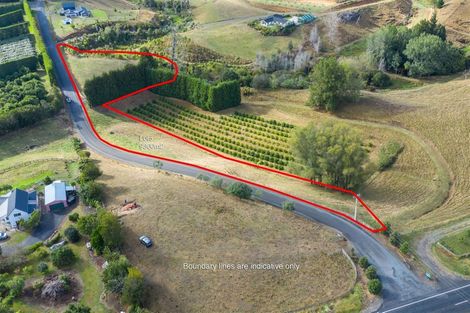 Photo of property in 145a Whakamarama Road, Whakamarama, Tauranga, 3179