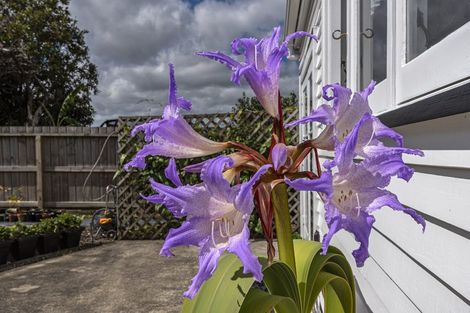 Photo of property in 31 Carrington Street, Dargaville, 0310