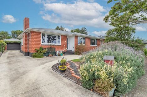 Photo of property in 40 Graham Street, Levin, 5510