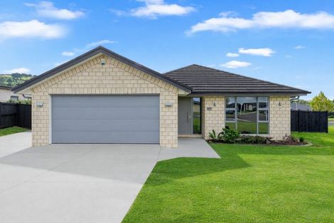 Photo of property in 118 Hillpark Drive, Pokeno, 2402