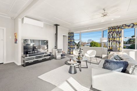 Photo of property in 15 Crewe Street, Gore, 9710