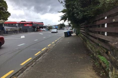 Photo of property in 57 Omahu Road, Greenlane, Auckland, 1051