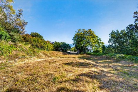 Photo of property in 19 Coleman Terrace, Hospital Hill, Napier, 4110