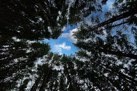 Photo of property in Long Gully Farm, 391 Southernthread Road, Brooklyn, Wellington, 6021