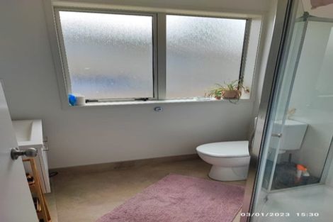 Photo of property in 6a Kotahi Road, Mount Wellington, Auckland, 1062