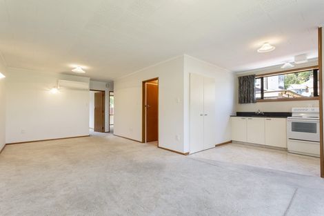 Photo of property in 4a Northumberland Street, North East Valley, Dunedin, 9010