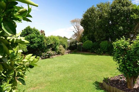 Photo of property in 42 Fitzroy Avenue, Fitzroy, Hamilton, 3206