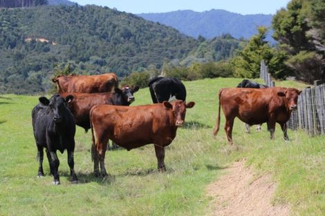 Photo of property in 2821 State Highway 1, Umawera, Okaihau, 0476