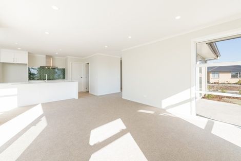 Photo of property in 20 Travers Avenue, Richmond, 7020