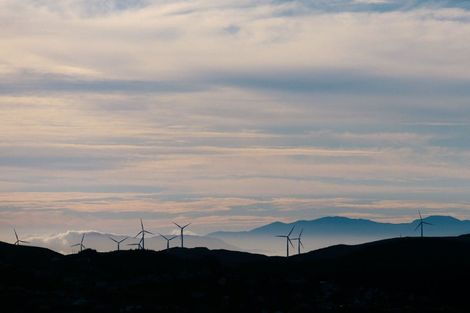 Photo of property in 38 Tea Tree Lane, Woodridge, Wellington, 6037