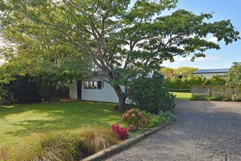 Photo of property in 8 Udy Street, Greytown, 5712