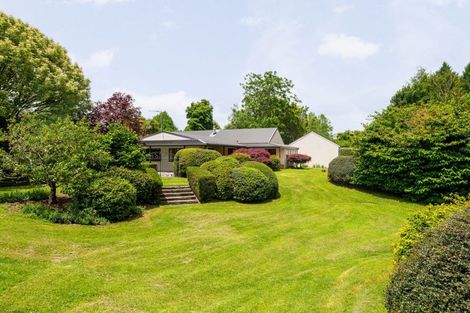 Photo of property in 803d Bruntwood Road, Tamahere, Hamilton, 3283