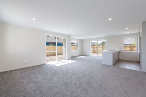 Photo of property in 17 Camberley Road, Richmond, 7020