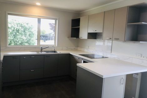 Photo of property in 11a Carlow Place, Cromwell, 9310