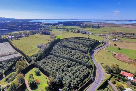 Photo of property in 50 Wright Road, Dairy Flat, Albany, 0794