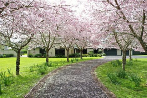 Photo of property in 25a Riverglade Drive, Tamahere, Hamilton, 3283