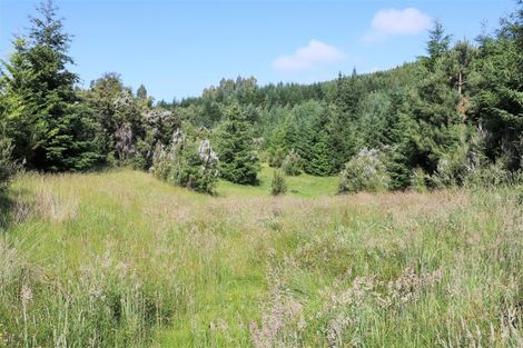 Photo of property in 147p Mount Lyford Forest Drive, Lyford, Waiau, 7395