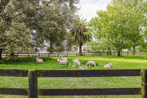 Photo of property in 81861 State Highway 2, Pahiatua, 4910