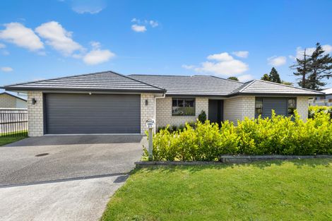 Photo of property in 21 Andrew Hilton Close, Morrinsville, 3300