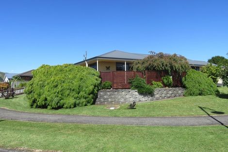 Photo of property in 11 Buchanan Street, Paeroa, 3600