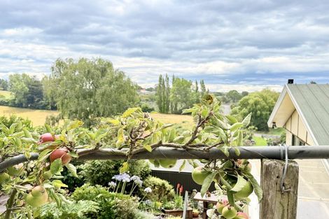 Photo of property in 42 Jessop Street, South Hill, Oamaru, 9400