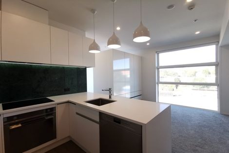 Photo of property in 6/246g Khyber Pass Road, Grafton, Auckland, 1023