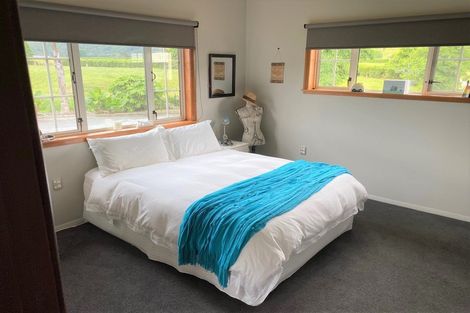 Photo of property in 521 Te Aroha-gordon Road, Te Aroha West, Te Aroha, 3391