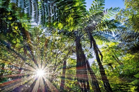 Photo of property in 82 Upland Road, Aongatete, Katikati, 3181