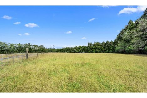 Photo of property in 50b Te Pua Road, Kaikohe, 0472