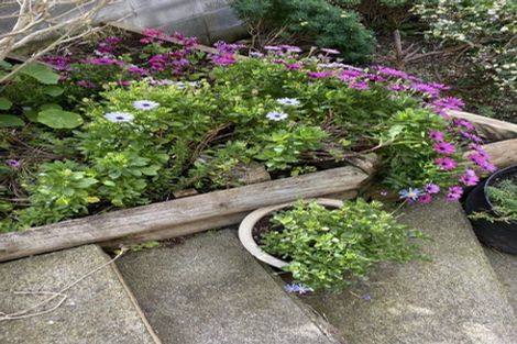 Photo of property in 100 Centennial Avenue, Waitara, 4320