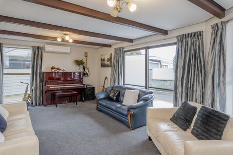 Photo of property in 14 Matipo Street, Levin, 5510