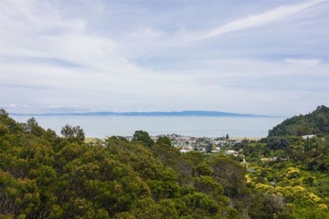 Photo of property in 101 Monument Road, Thames, 3500