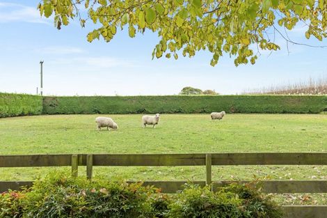 Photo of property in 98 Crystall Road, Pakipaki, Hastings, 4172