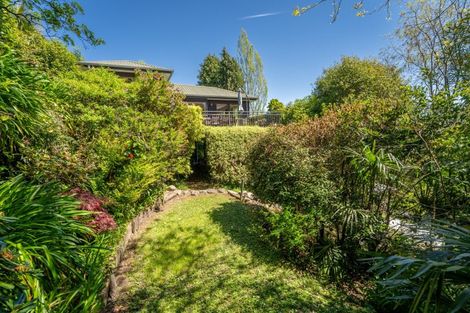 Photo of property in 26 Allan Street, Nelson South, Nelson, 7010
