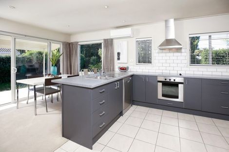 Photo of property in 119a Clarkin Road, Fairfield, Hamilton, 3214