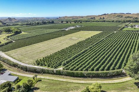 Photo of property in 208 Breckenridge Road, Puketapu, Napier, 4183