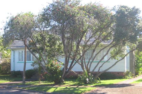Photo of property in 7 Hinekohu Street, New Lynn, Auckland, 0600