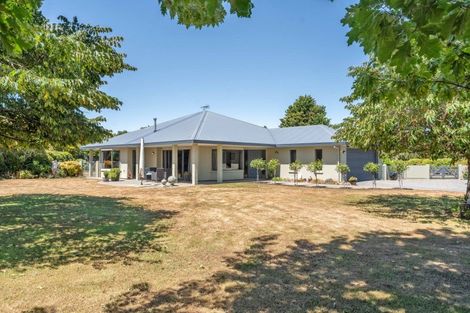Photo of property in 151 Lincoln Road, Carterton, 5713